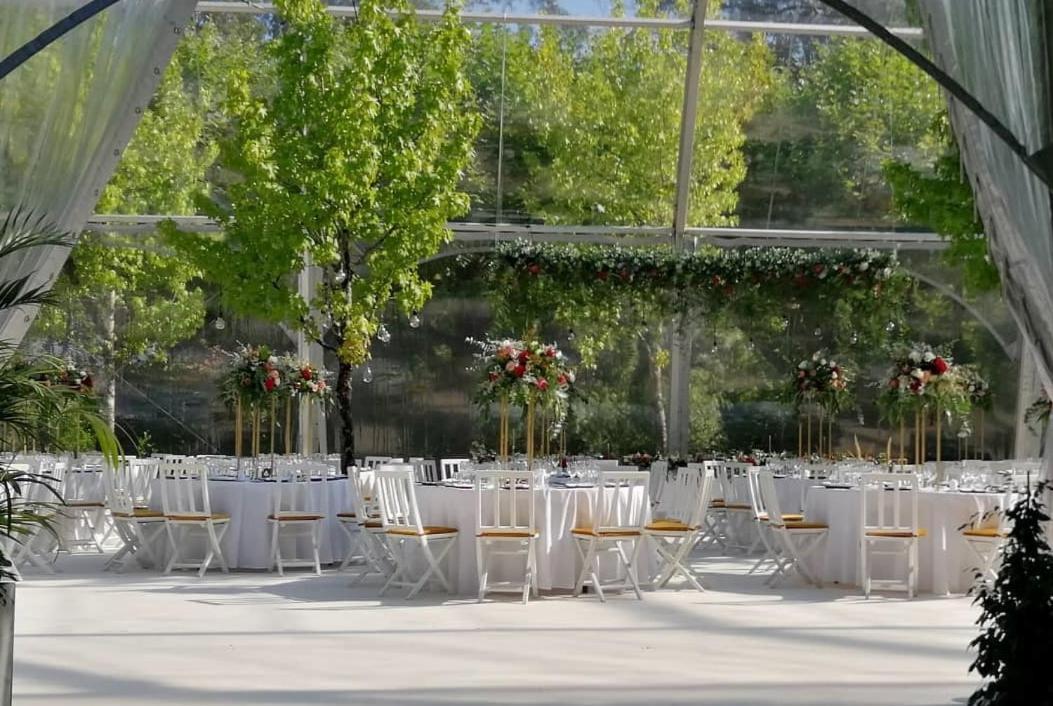 Hotel Termas Da Curia Dış mekan fotoğraf